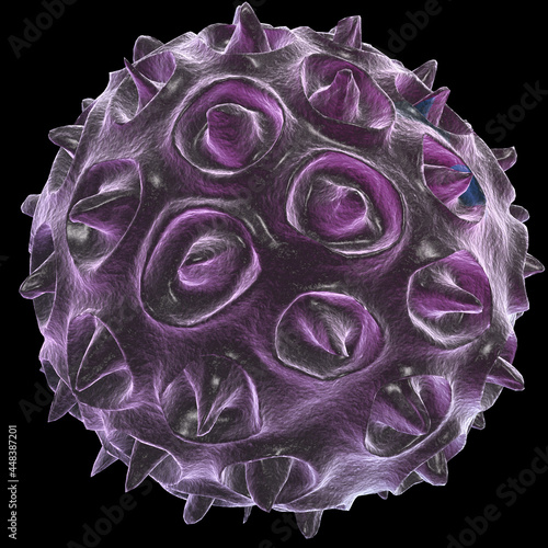 parvovirus