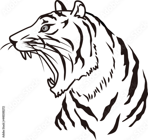 Monochrome line drawing illustration of a tiger