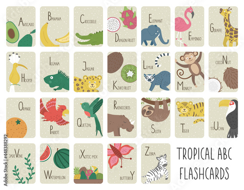 Tropical alphabet cards for children. Cute cartoon ABC set with exotic animals, birds, fruits, insects. Funny jungle flashcards for teaching reading or phonics for kids. English language letters pack. photo