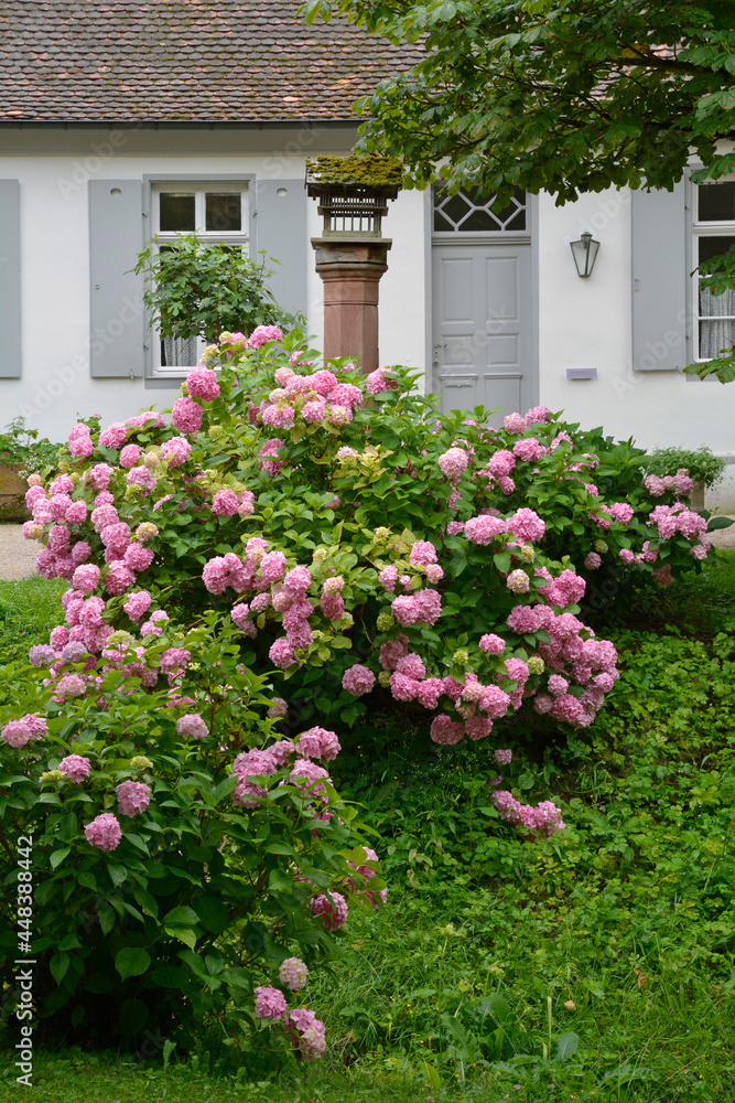 Naklejka premium staatspark fürstenlager