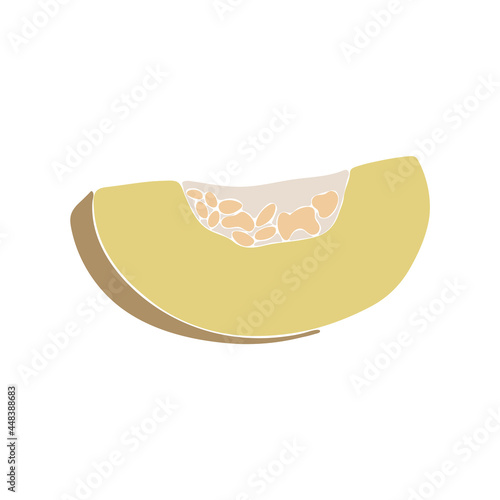 Abstract cantaloupe fruit, boho cantaloupe element isolated vector illustration, summer tropical fruit art