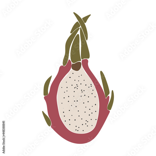 Abstract dragon fruit, boho dragon fruit element isolated vector illustration, summer tropical fruit art
