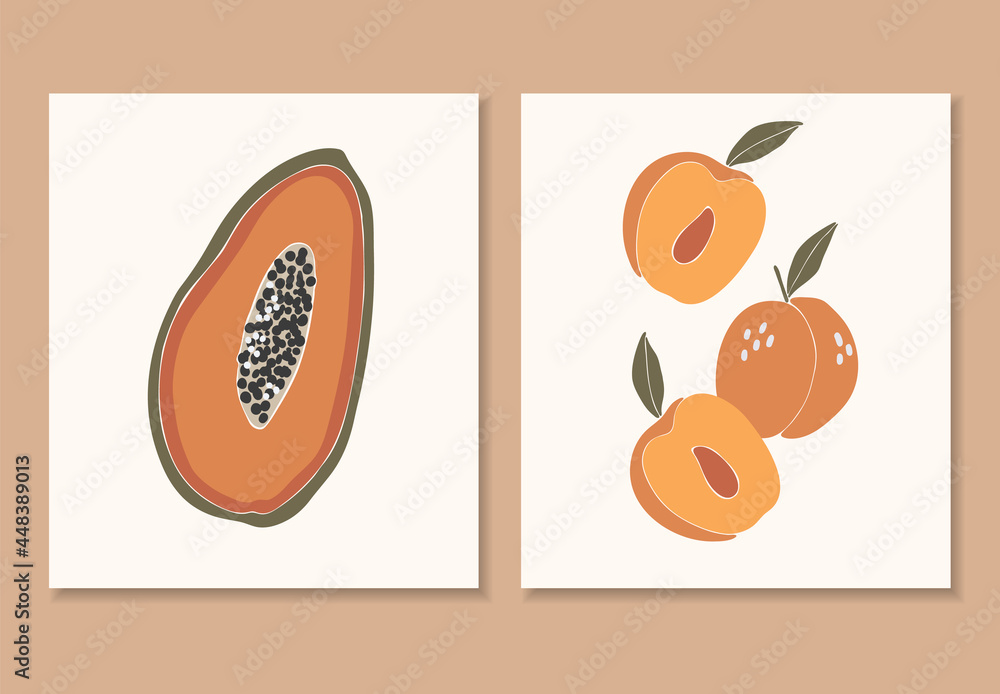 Abstract tropical fruit set, boho tropical elements isolated vector illustration, summer papaya and peach fruits art, fruits banner