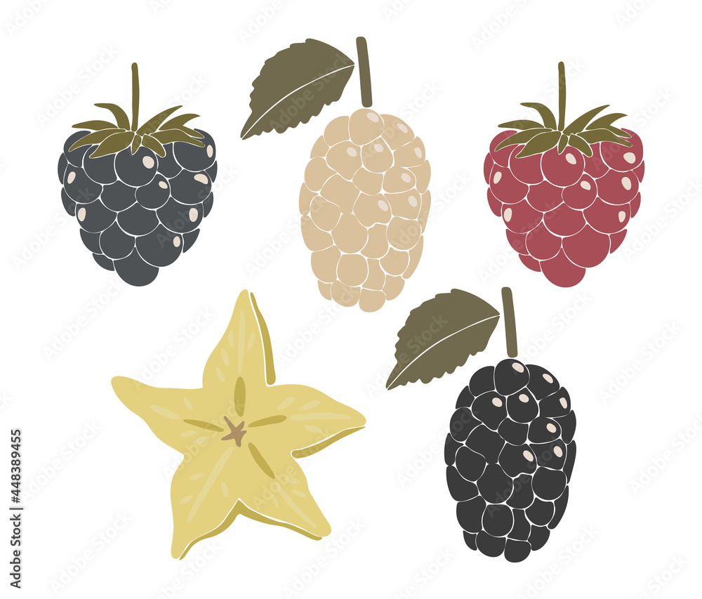 Abstract berry fruit set, boho berry elements isolated vector illustration, summer tropical fruits art Abstract berry fruit set, boho berry elements isolated vector illustration, summer tropical fruits art