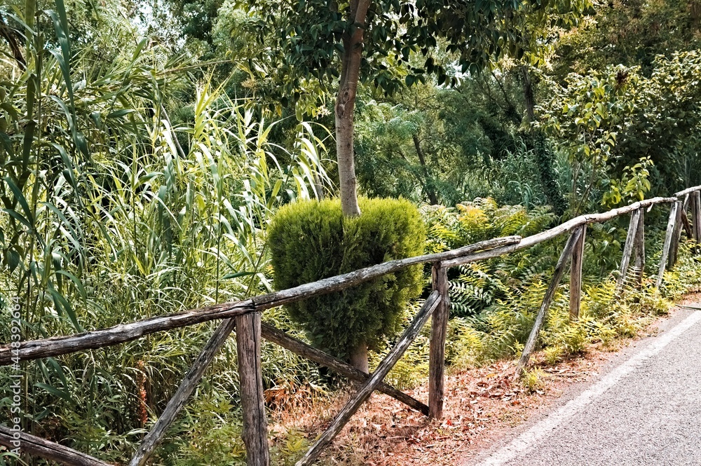 Wooden fence at the edge of a pedestrian street in a public park (Marche, Italy, Europe) Wooden fence at the edge of a pedestrian street in a public park (Marche, Italy, Europe)