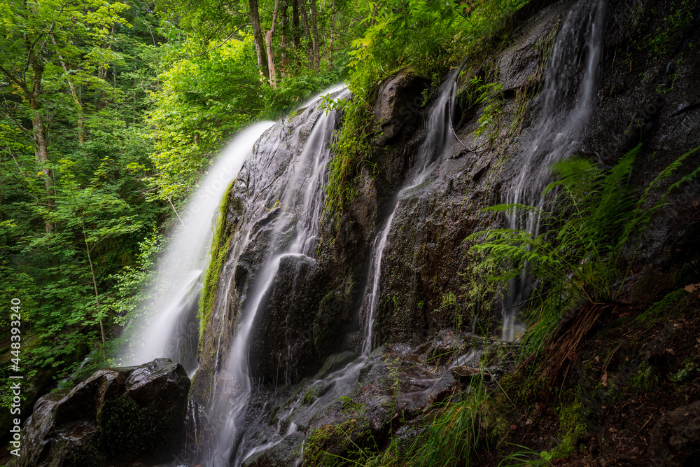 Cascade de l Andelau Cascade du Hohwald Wasserfall Cascade de l Andelau Cascade du Hohwald Wasserfall