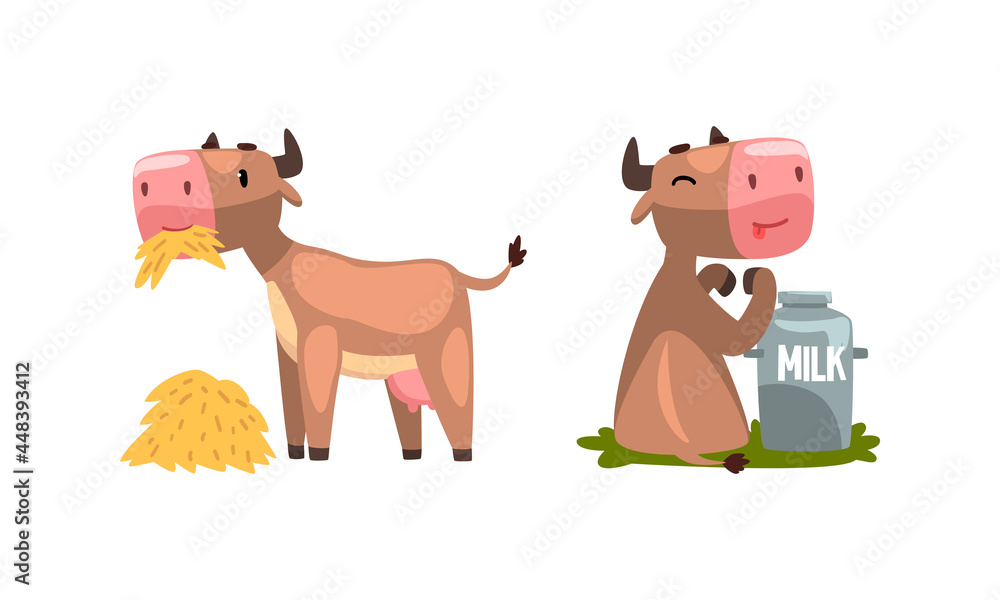 Cute Milk Cow with Udder Drinking Milk from Can and Chewing Hay Vector Set Cute Milk Cow with Udder Drinking Milk from Can and Chewing Hay Vector Set