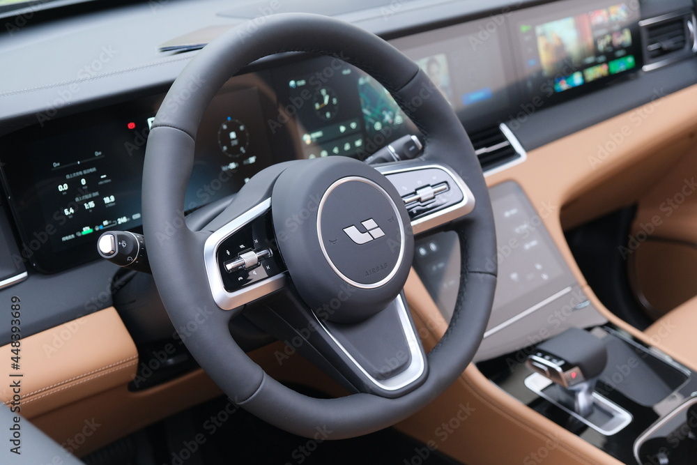 shanghai.China-August 2021: steering wheel and dashboard inside Li Auto  electric car. Interior of Li Auto EV. Li Auto Also known as Li Xiang, is a  Chinese electric vehicle company Stock-Foto