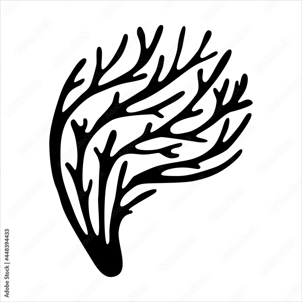 Fototapeta premium Beautiful black branch of moss aquatic Riccia on a white background. Algae logo, algae icon