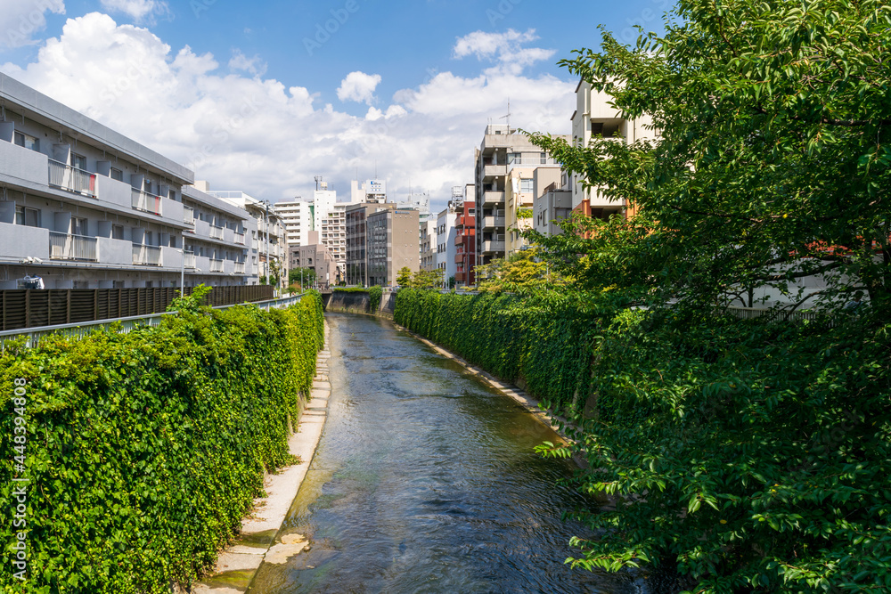 日本の都市を流れる川の様子