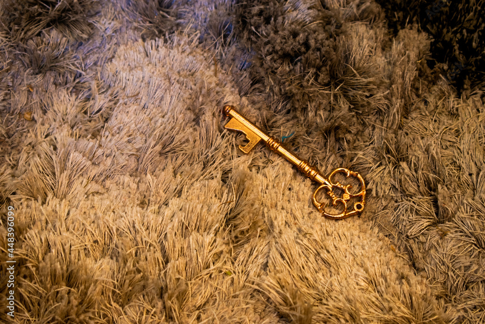 Golden key on fur background StockFoto Adobe Stock