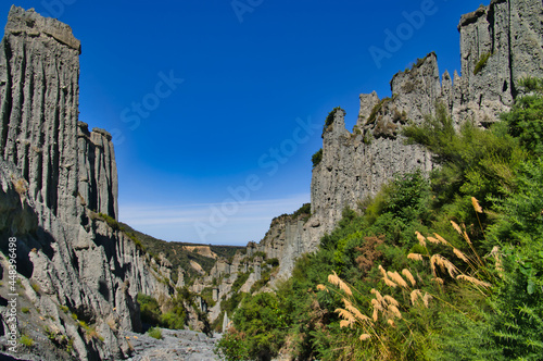 Canyon through the towers of conglomerate gravel rocks of the Putangirua Pinnacles, near Cape Palliser, North Island, New Zealand. Grey, eroded rocks with green vegetation and large grasses. © Hans