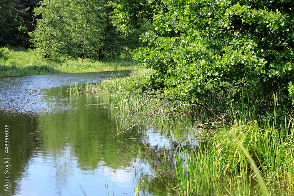 Little lake is a part of a farmland Little lake is a part of a farmland