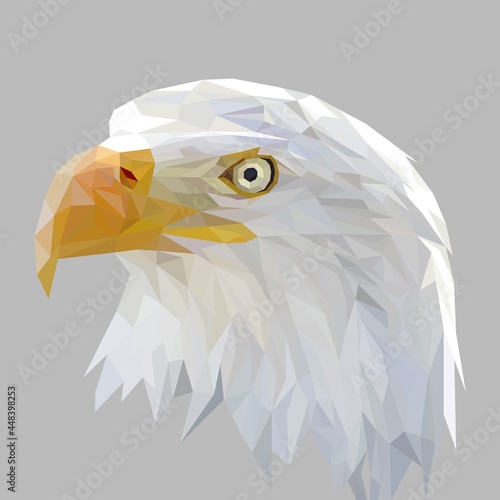 Eagle face with geometry design, low poly triangular and wire frame vector illustration EPS 10 isolated. Polygonal style trendy modern logo design. Suitable for printing on a t-shirt.