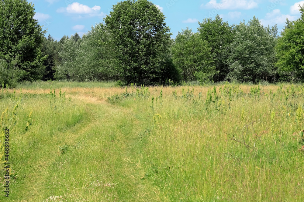 The dirt, winding road in the fields The dirt, winding road in the fields