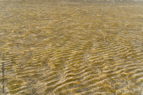 Sandstrand bei Ebbe im Abendlicht in der Bucht von Saint Jouin Bruneval  Normandie   Frankreich