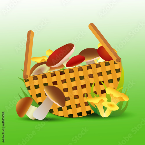  Mushroom basket illustration