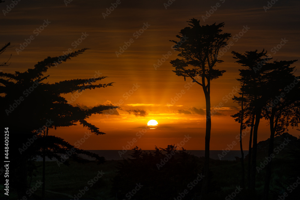 Naklejka premium spaktakulaerer Sonnenuntergang mit Pinien und dem atlantischen Ozean im Hintergrund, Saint Malo , Bretagne, Frankreich