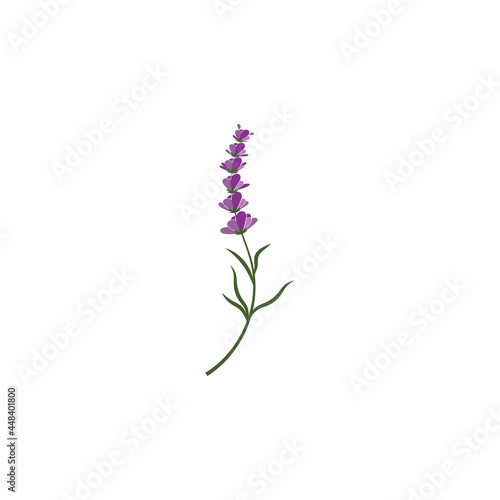 Lavender Logo Template vector symbol nature