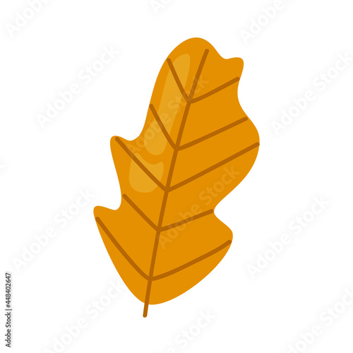 yellow dry leaf