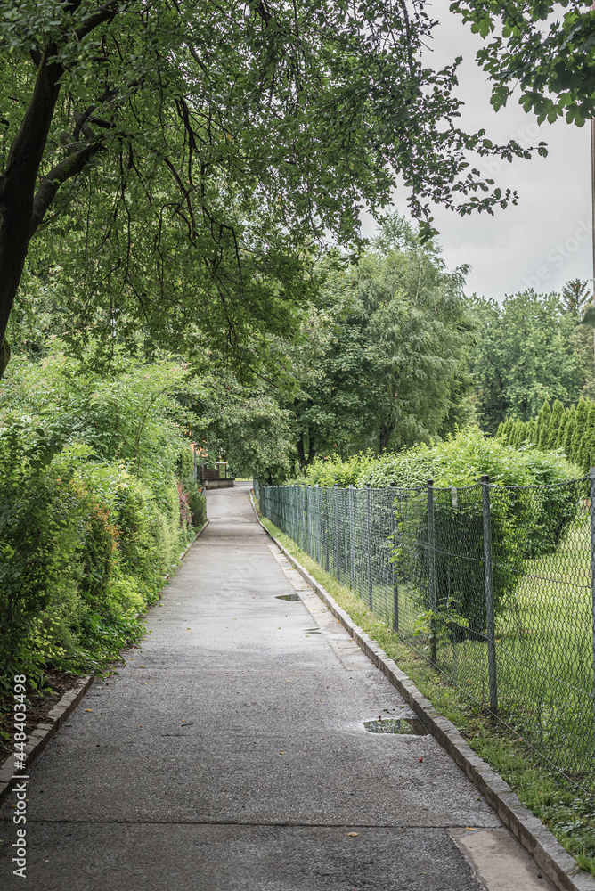 Fototapeta premium Gartenweg in einer Wohnsiedlung