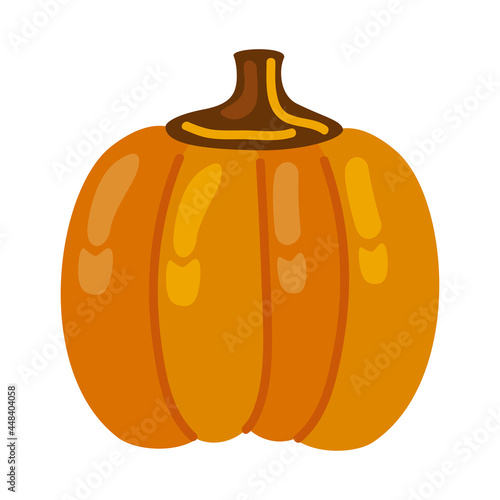 pumpkin autumn fruit