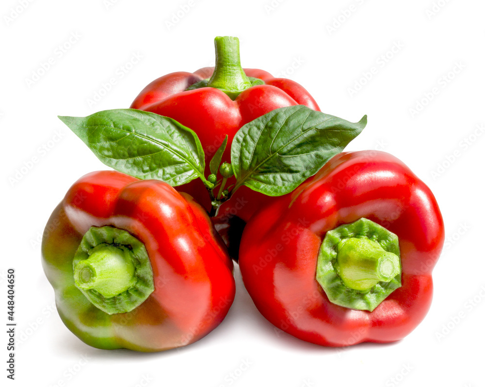 Ripe red sweet bell peppers isolated on white background. Fresh vegetables. Ripe red sweet bell peppers isolated on white background. Fresh vegetables.