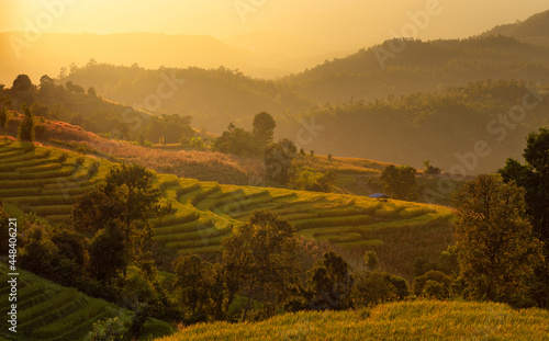 The beautiful rice terraces are located on a mountain at Pong Piang Village, Chom Thong District, Chiang Mai Province.