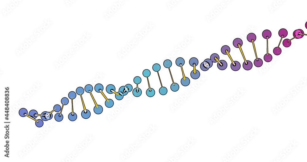 color visualization of DNA analysis isolated on white background 3d rotation animation, for montage and medical training color visualization of DNA analysis isolated on white background 3d rotation animation, for montage and medical training