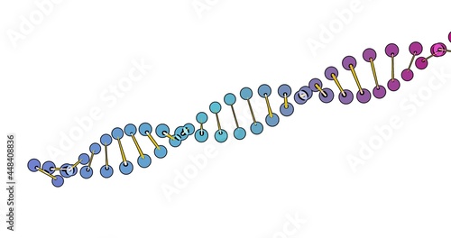 color visualization of DNA analysis isolated on white background 3d rotation animation, for montage and medical training