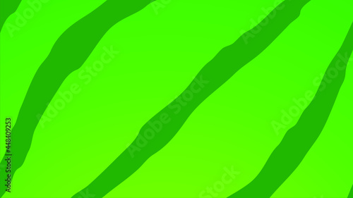 illustration of background watermelon patern. green watermelon