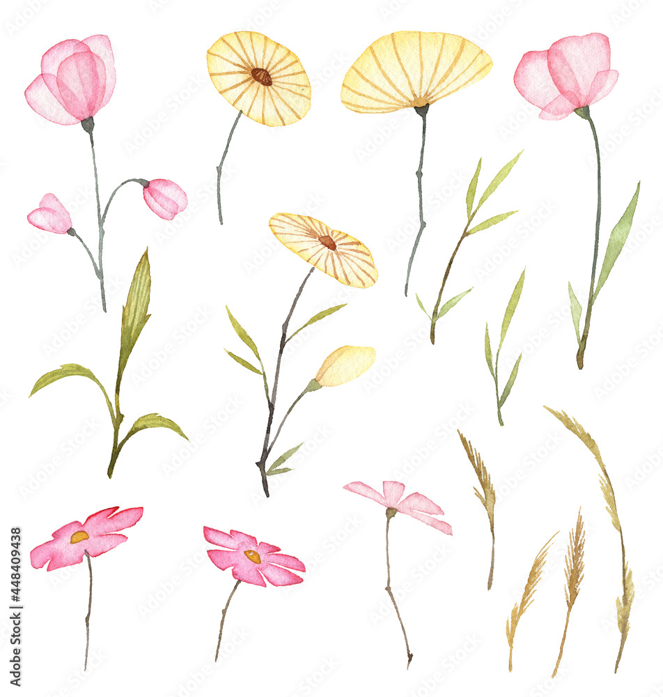 Set of watercolor soft and cute transparent flowers with leaves. Hand painted pink and yellow flowers isolated on white background. Floral collection