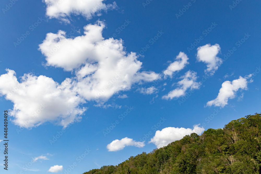 a bright blue sky with white thick cummulus clouds. in the foreground is a hill with many green trees. 