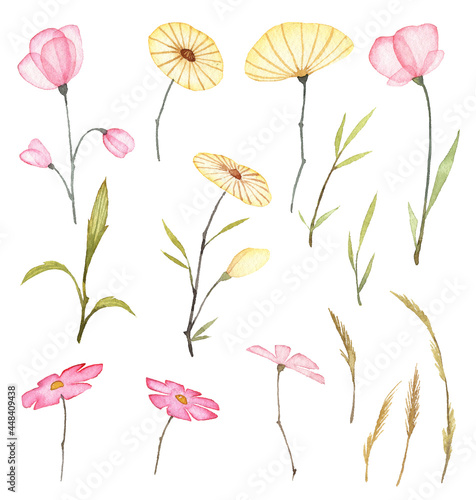 Set of watercolor soft and cute transparent flowers with leaves. Hand painted pink and yellow flowers isolated on white background. Floral collection