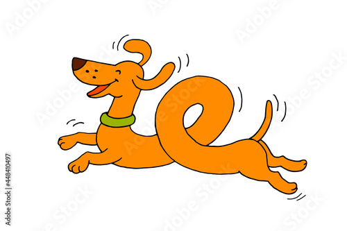 Cheerful dachshund dog in a collar. Node. Run. Jumping. Pet for a walk. Very long dachshund. Vector. Doodle. Hand-drawn illustration.