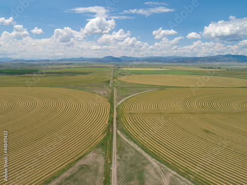 Colorado Hay Circles photo