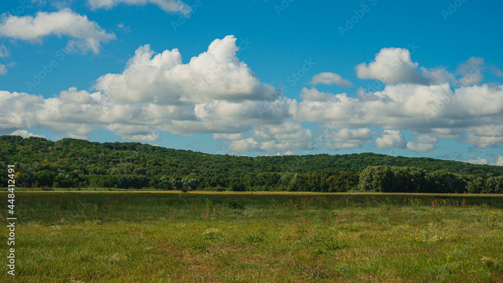 Meadow and Deciduous Forest in a Hilly Area.