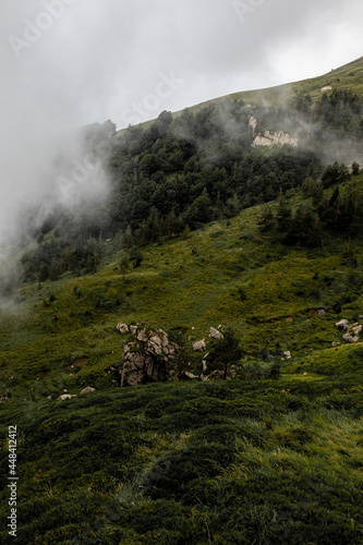 MOUNTAIN WITH FOG