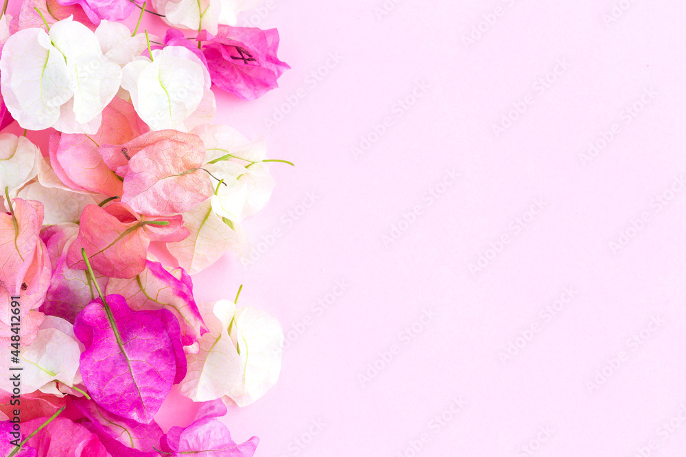 Beautiful bougainvillea on pink background.View from above. Background with copy space