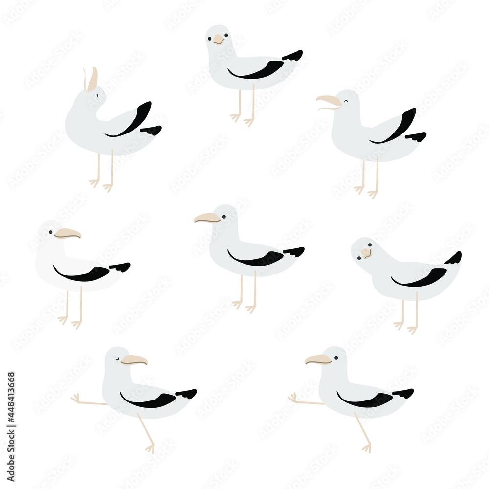 Obraz premium seagulls set on the white background