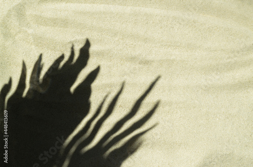 The shadow of palm leaves on beige clean sand. Minimalistic background. Beach vacation and travel concept