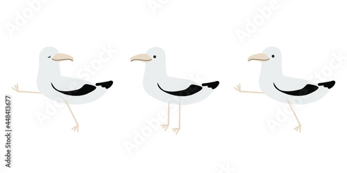 
three seagulls set on the white background