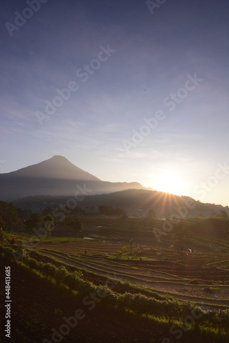 view in the morning or sunrise with the background of the Arjuna mountains and rice fields.