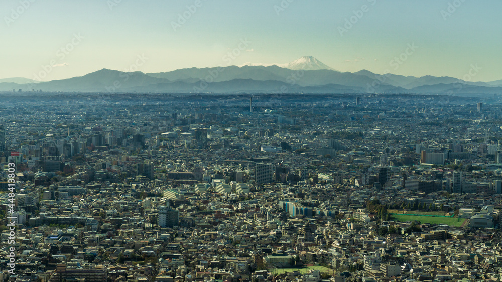 Tokyo Skyline from the top of a highrise