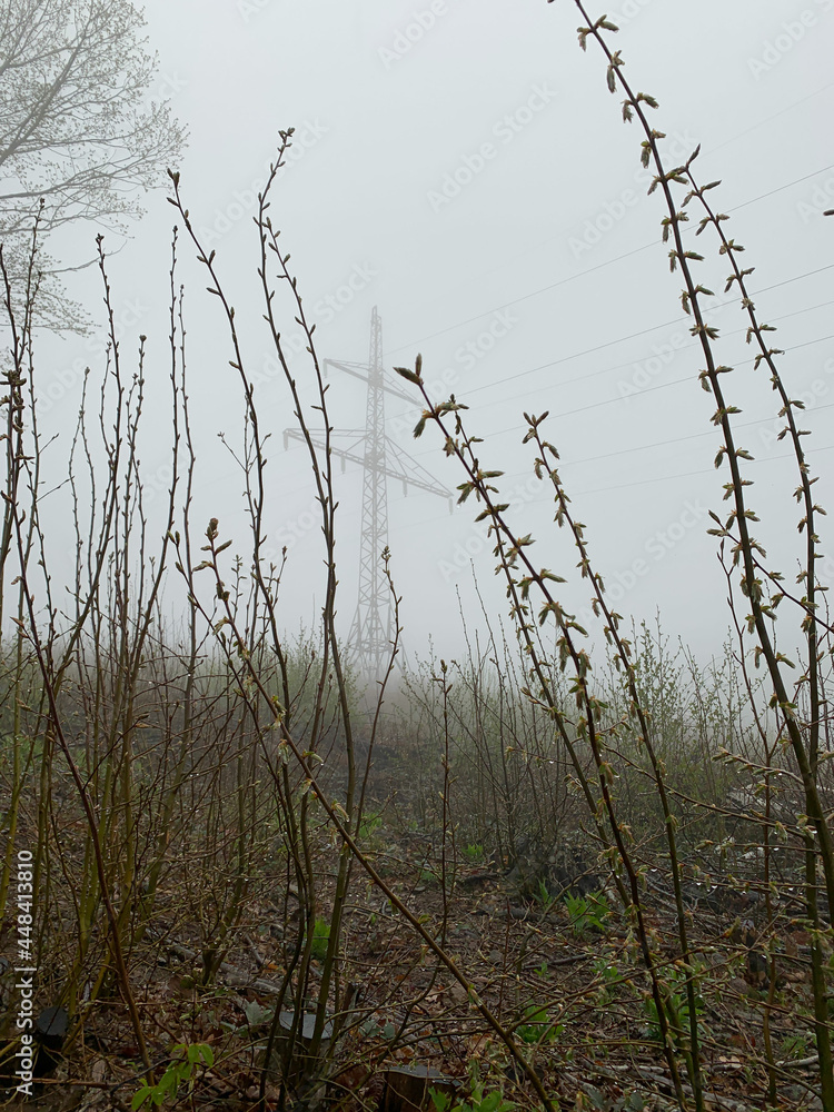 Obraz premium A thick fog appeared in the field, power lines