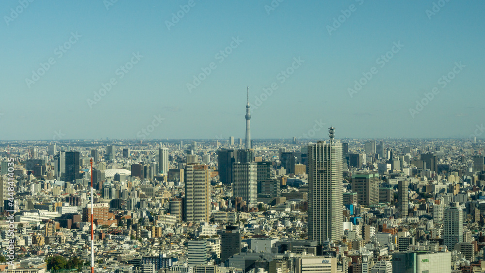 Tokyo Skyline from the top of a highrise