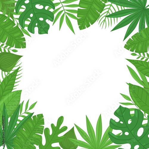 Summer exotic tropical frame with banana leaves  monstera leaves  palm leaves and place for text