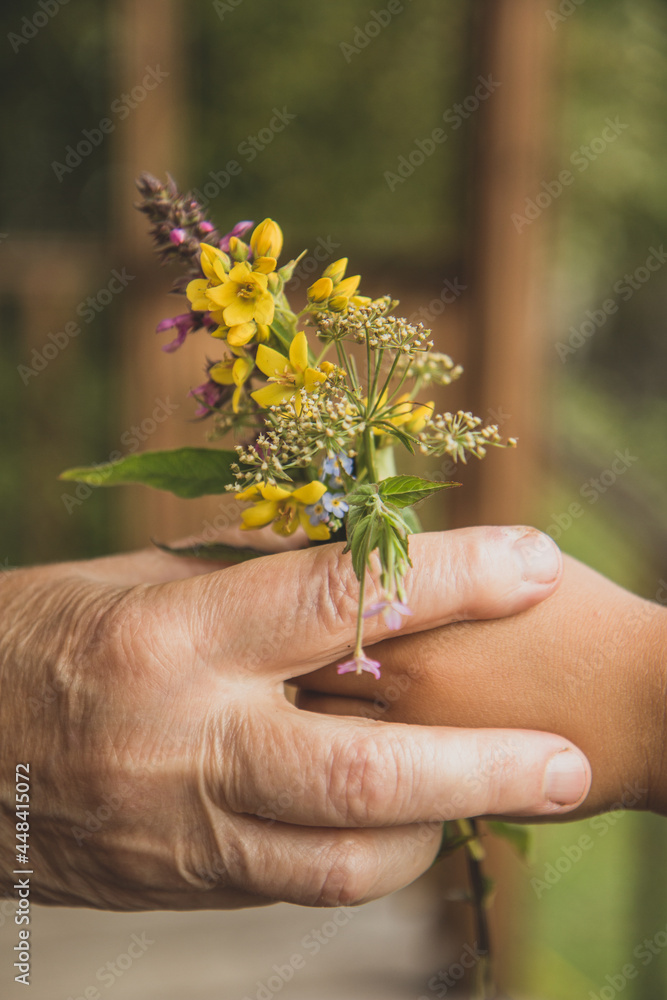 grandson gives flowers to grandmother