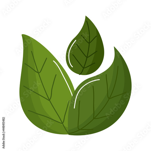 leaves ecology icon