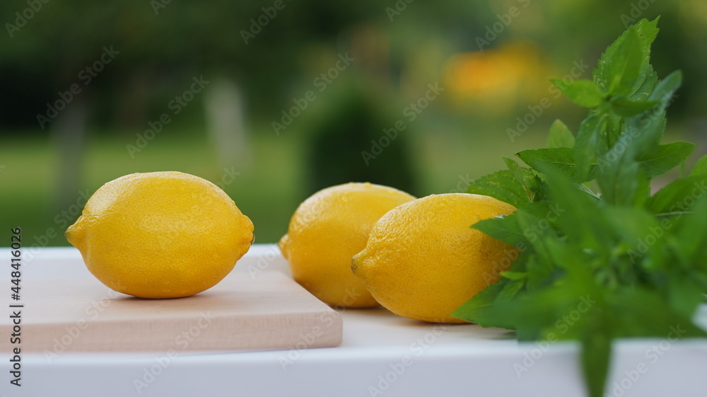 lemons and mint lemons and mint
